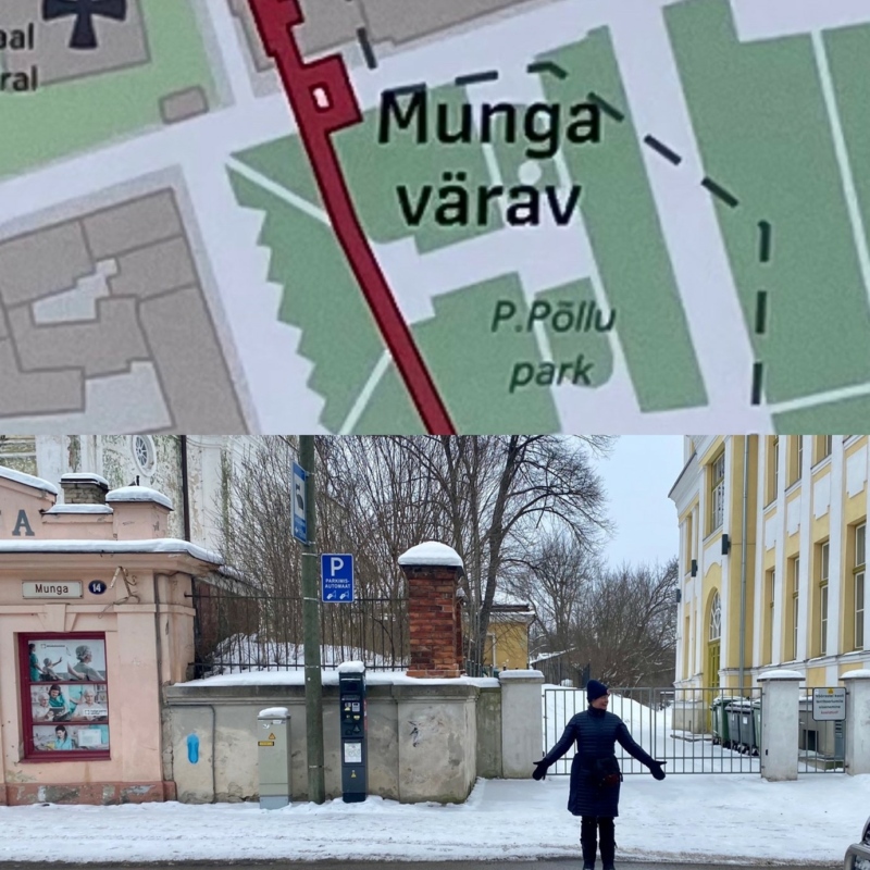 Tartu linnamüür
