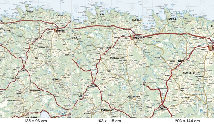 Regio Eesti metsadega seinakaart, fragmendid